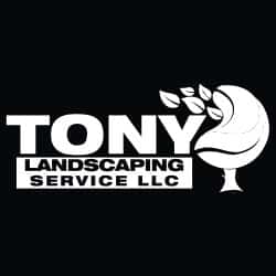 Tony-Landscaping